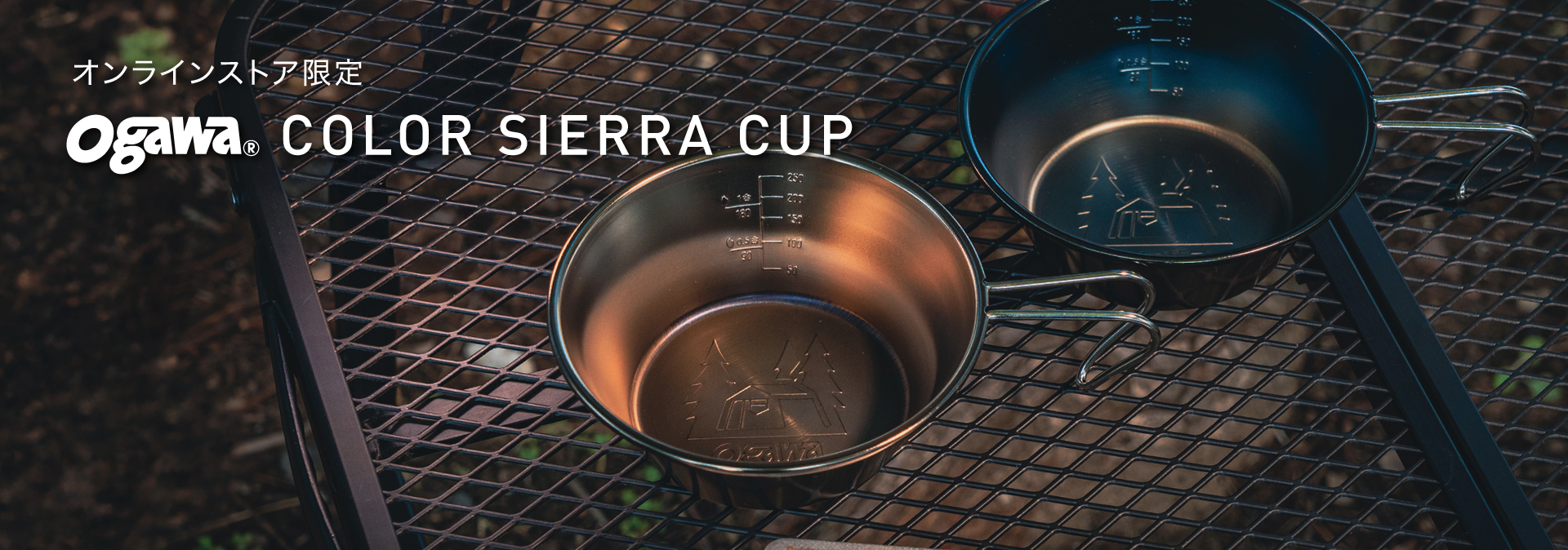 カラーシェラカップ